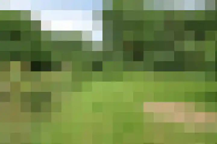 Kloosterhoekweg 11 Welsum thumbnail 54