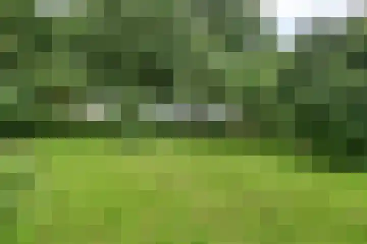 Kloosterhoekweg 11 Welsum thumbnail 55
