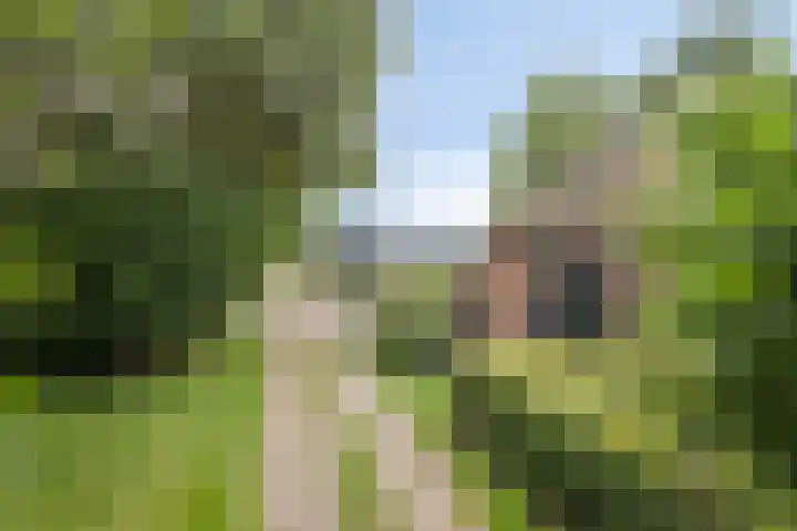 Kloosterhoekweg 11 Welsum thumbnail 56