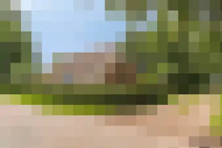 Kloosterhoekweg 11 Welsum thumbnail 58