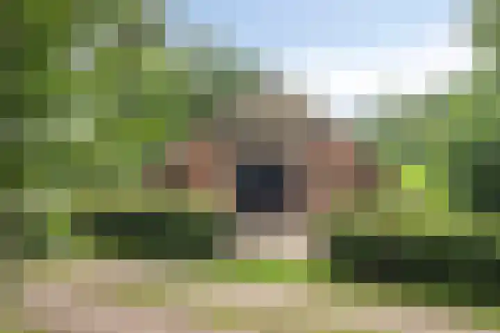 Kloosterhoekweg 11 Welsum thumbnail 59