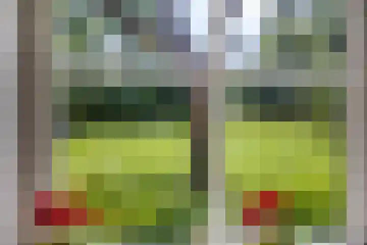 Kloosterhoekweg 11 Welsum thumbnail 6