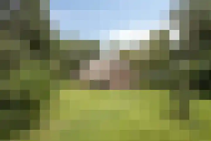 Kloosterhoekweg 11 Welsum thumbnail 60