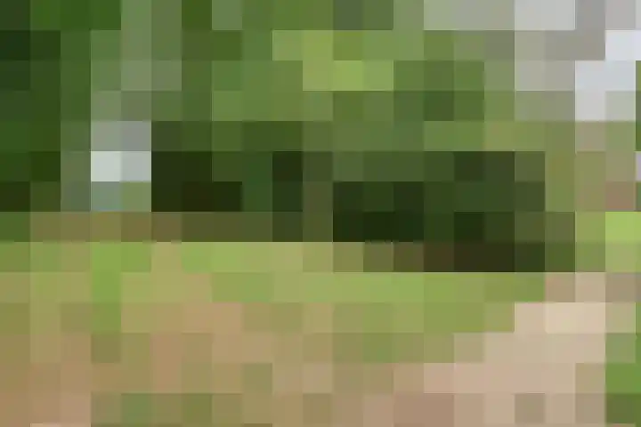 Kloosterhoekweg 11 Welsum thumbnail 61