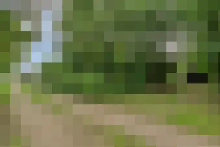 Kloosterhoekweg 11 Welsum thumbnail 62