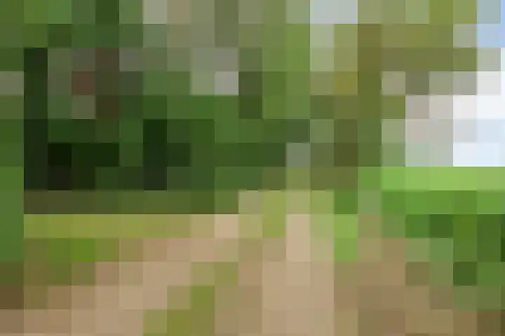 Kloosterhoekweg 11 Welsum thumbnail 63