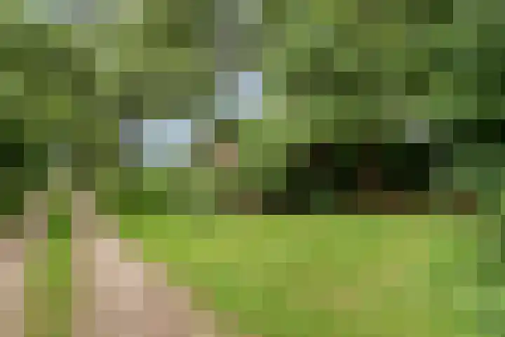 Kloosterhoekweg 11 Welsum thumbnail 64