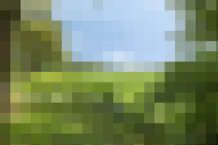 Kloosterhoekweg 11 Welsum thumbnail 65