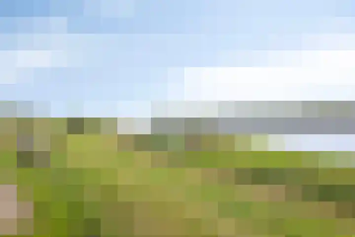 Kloosterhoekweg 11 Welsum thumbnail 66