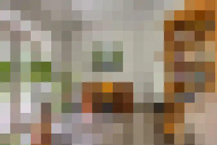 Kloosterhoekweg 11 Welsum thumbnail 8