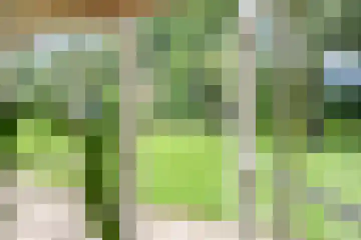 Kloosterhoekweg 11 Welsum thumbnail 9