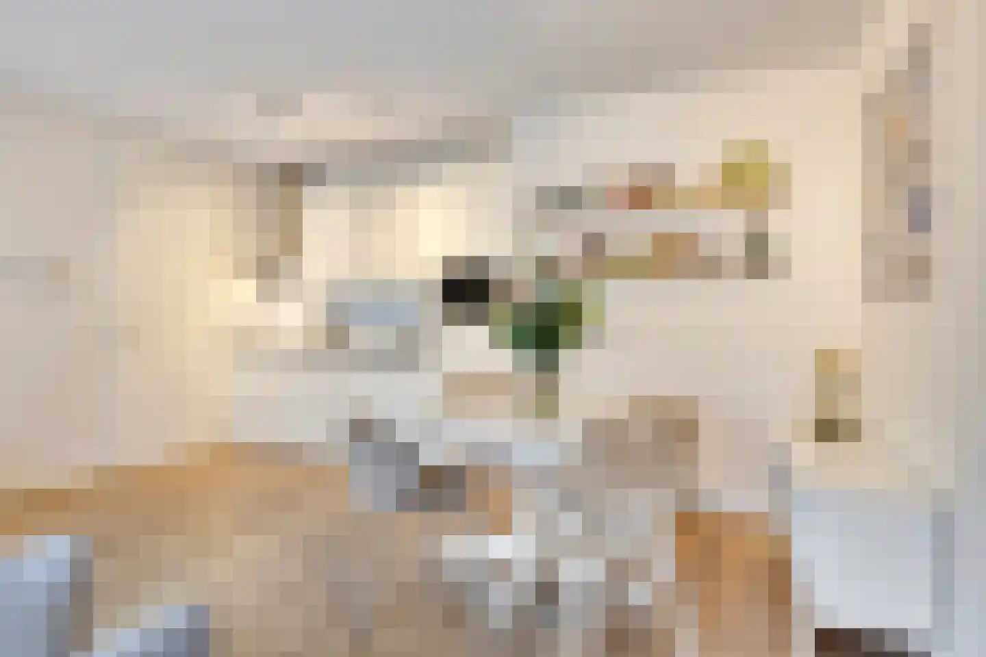 Kloosterhof 1 01 Veghel thumbnail 23