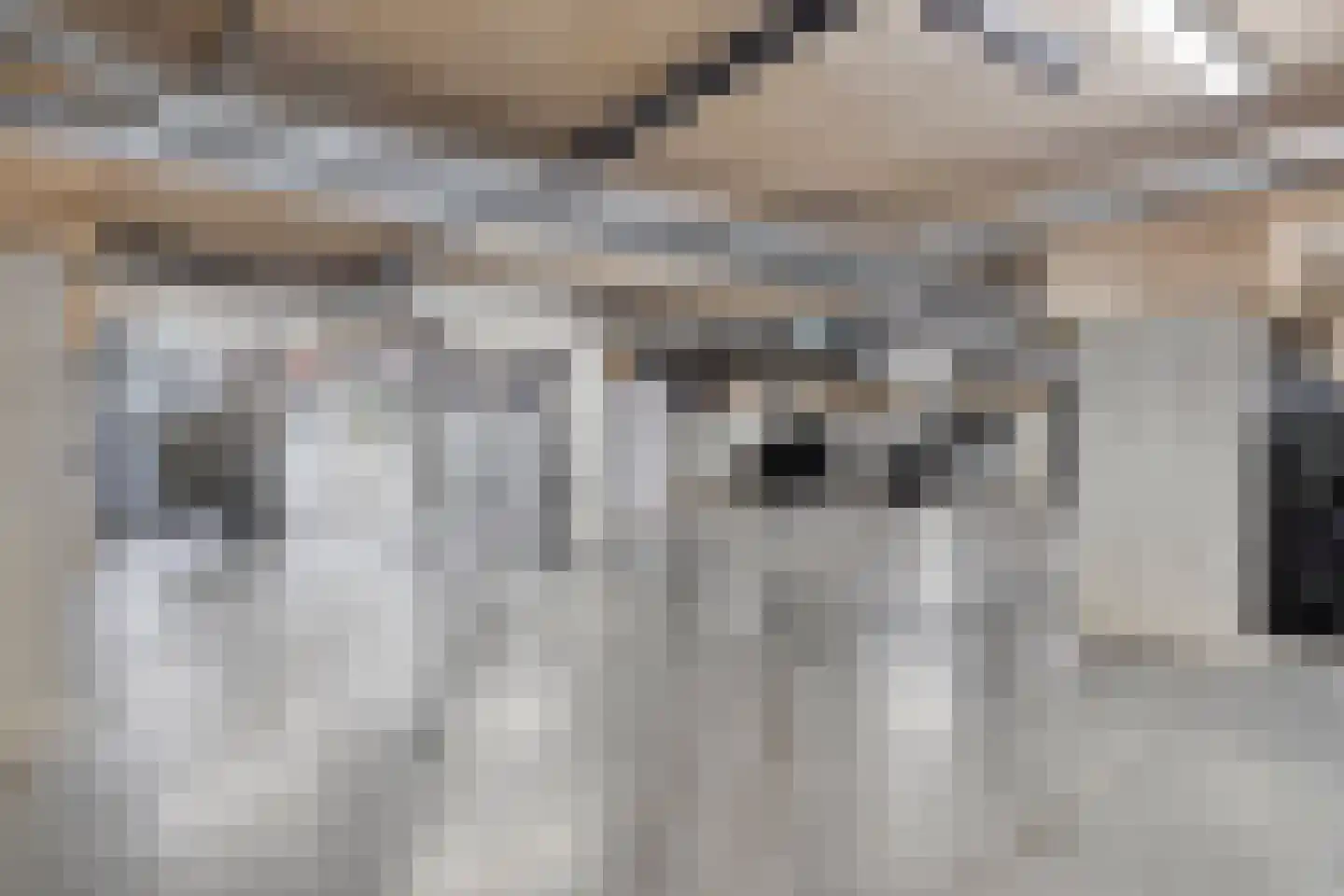 Kloosterhof 1 01 Veghel thumbnail 30