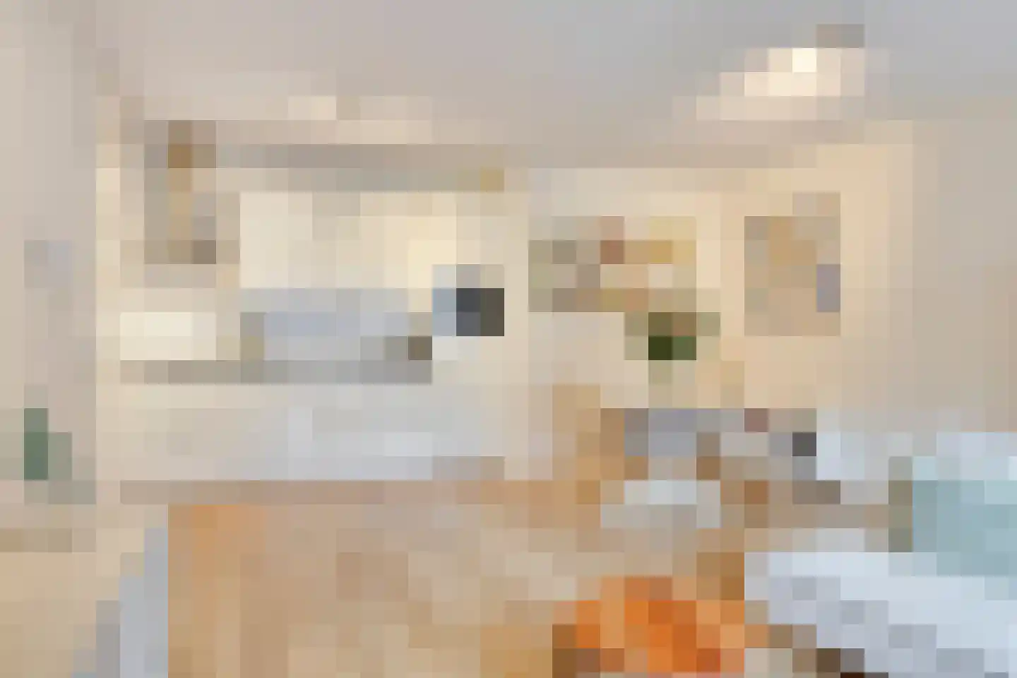 Kloosterhof 1 01 Veghel thumbnail 6