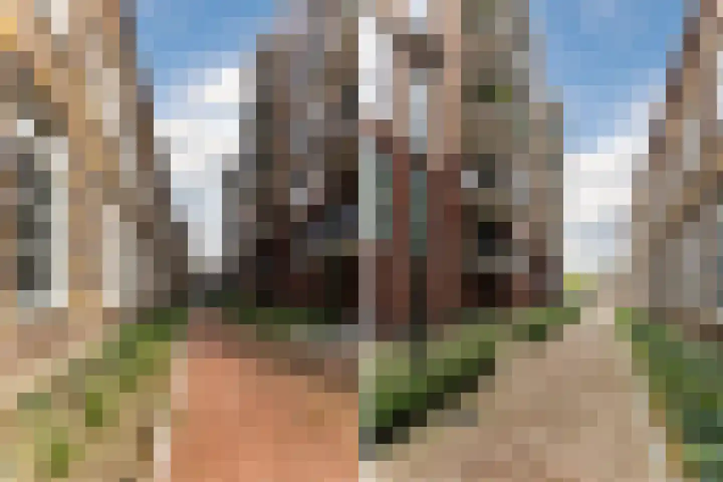 Kloosterhof 1 12 Veghel thumbnail 23