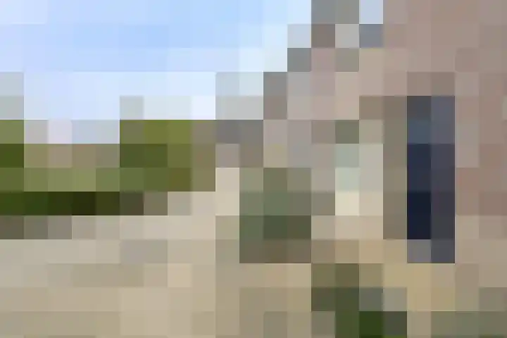 Kloosterhof 12 Hank thumbnail 10