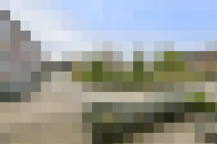 Kloosterhof 12 Hank thumbnail 11