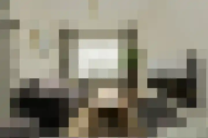 Kloosterhof 12 Hank thumbnail 12