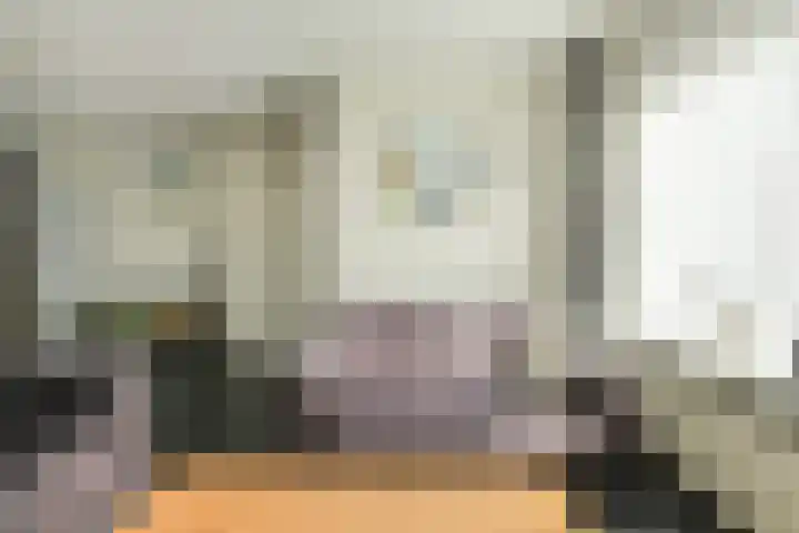 Kloosterhof 12 Hank thumbnail 15