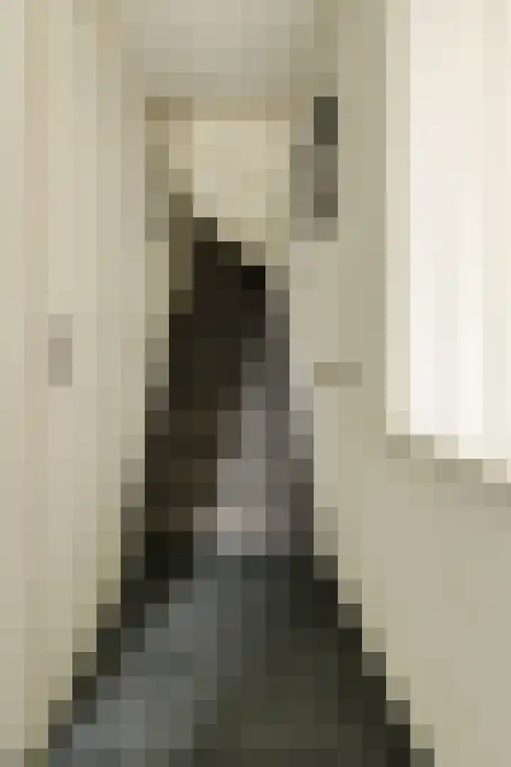 Kloosterhof 12 Hank thumbnail 28