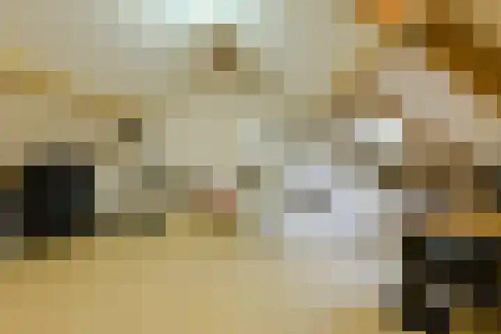 Kloosterhof 12 Hank thumbnail 40