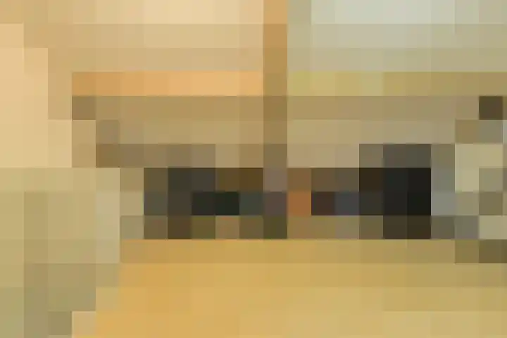 Kloosterhof 12 Hank thumbnail 41