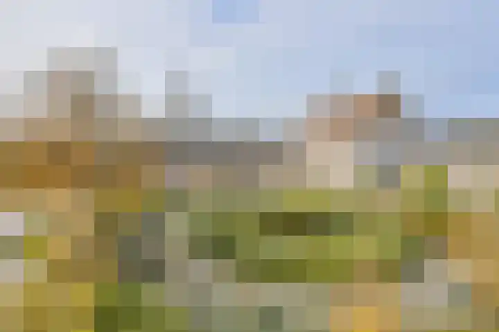 Kloosterhof 12 Hank thumbnail 6