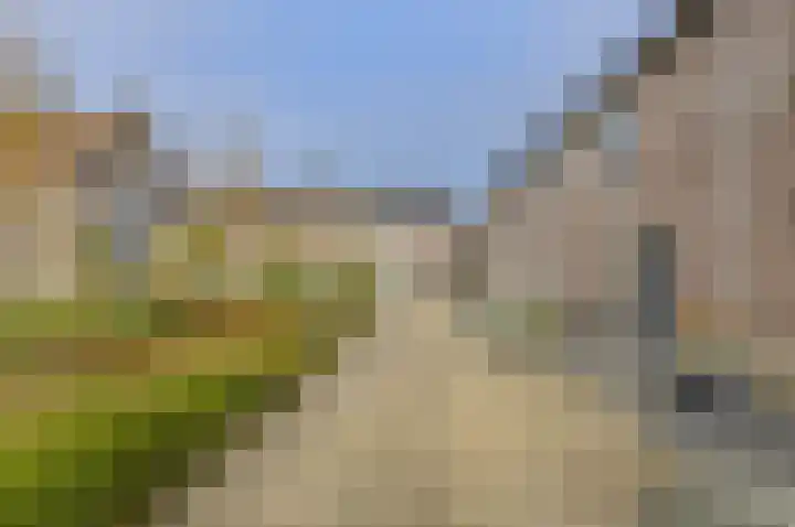 Kloosterhof 12 Hank thumbnail 7
