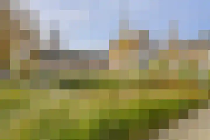 Kloosterhof 12 Hank thumbnail 8