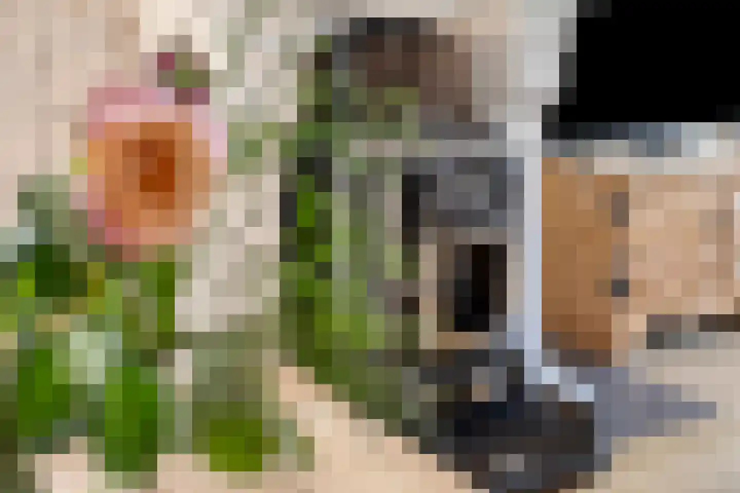 Kloosterhof 12 Sneek thumbnail 10