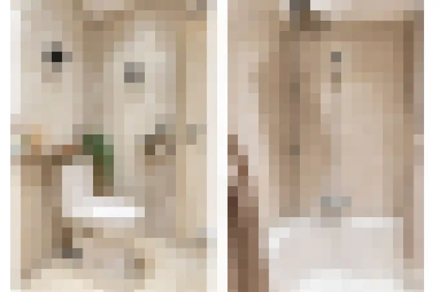 Kloosterhof 12 Sneek thumbnail 17