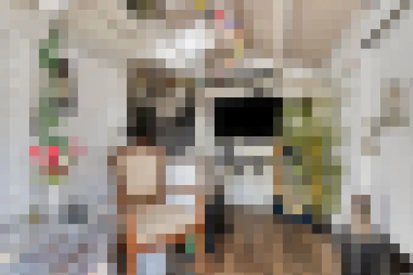 Kloosterhof 12 Sneek thumbnail 23