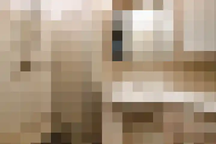Kloosterhof 15 Delden thumbnail 20