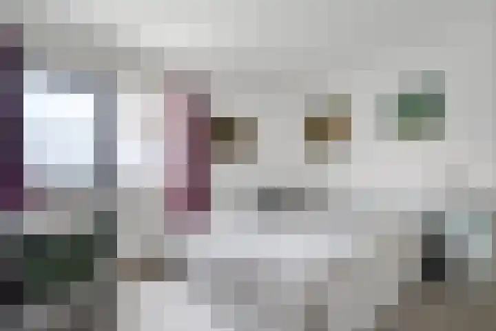 Kloosterhof 15 Delden thumbnail 22