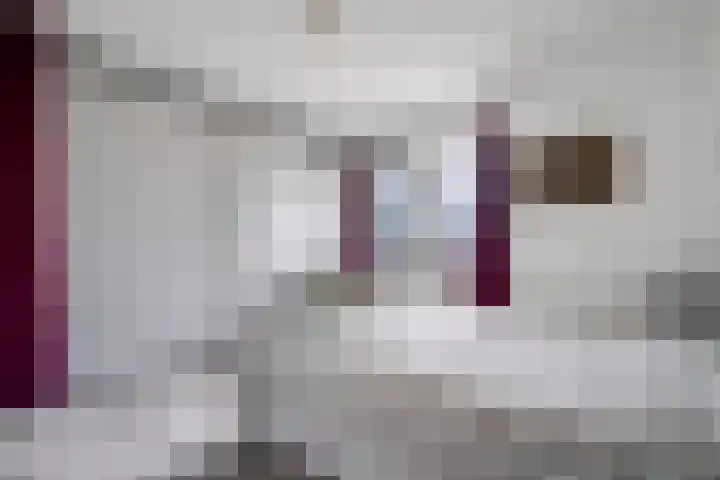 Kloosterhof 15 Delden thumbnail 23