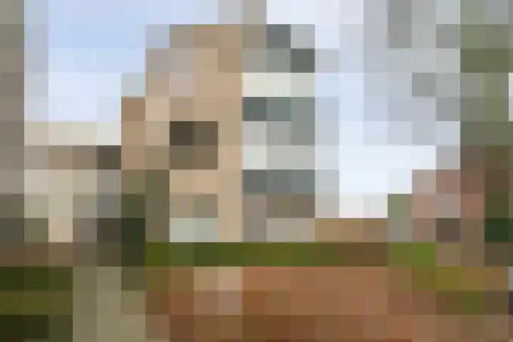 Kloosterhof 15 Delden thumbnail 27