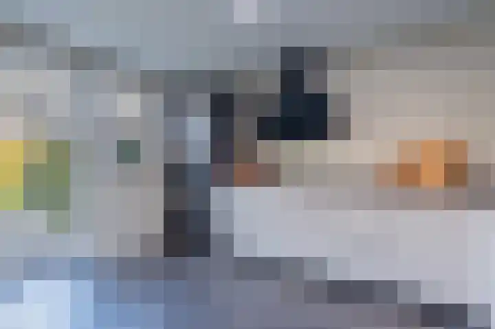 Kloosterhof 16 Dalfsen thumbnail 18