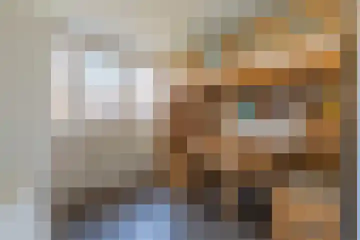 Kloosterhof 16 Dalfsen thumbnail 24