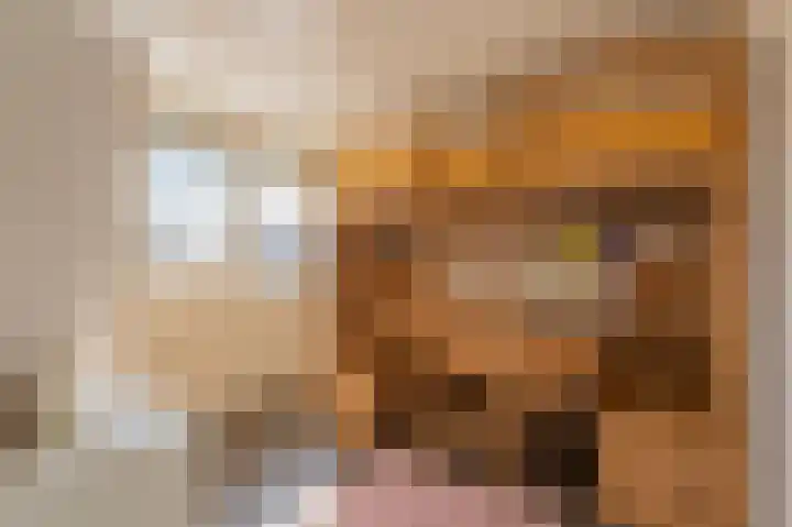 Kloosterhof 16 Dalfsen thumbnail 29
