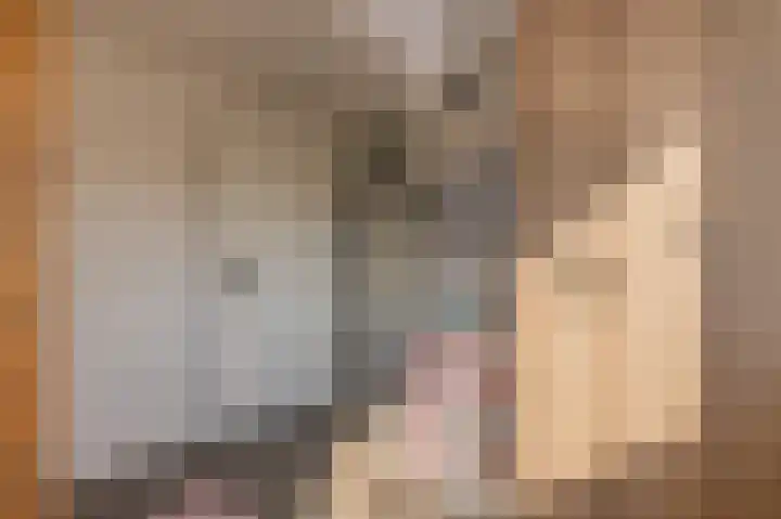 Kloosterhof 16 Dalfsen thumbnail 30