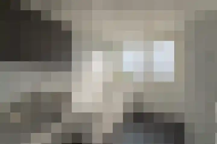 Kloosterhof 16 Dalfsen thumbnail 32