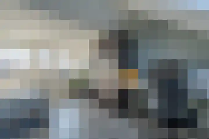 Kloosterhof 16 Dalfsen thumbnail 37