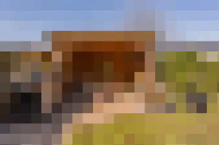 Kloosterhof 16 Dalfsen thumbnail 42