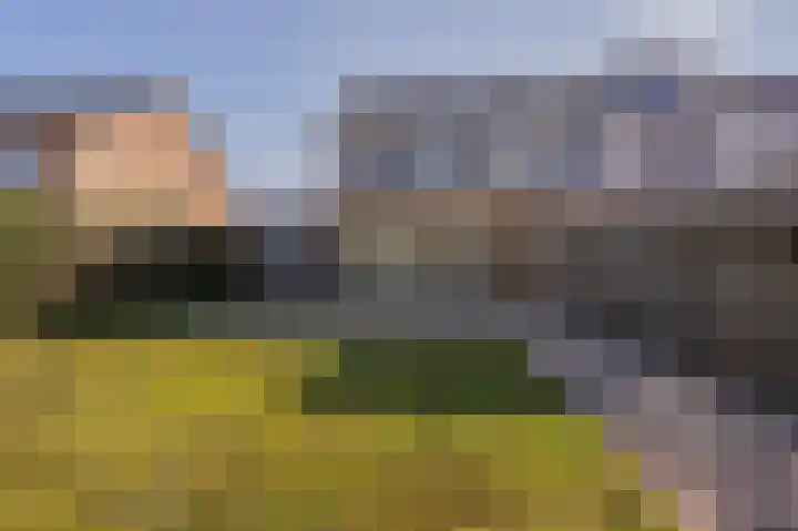 Kloosterhof 16 Dalfsen thumbnail 43