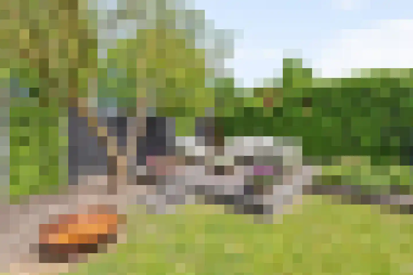 Kloosterhof 16 Vasse thumbnail 20