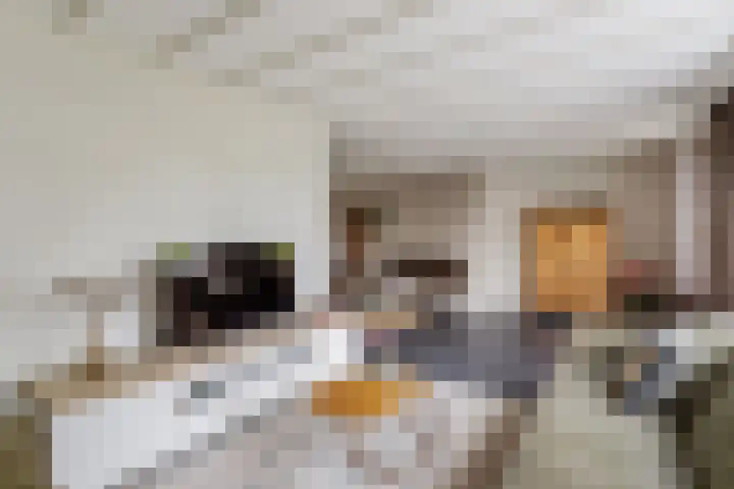 Kloosterhof 16 Vasse thumbnail 7