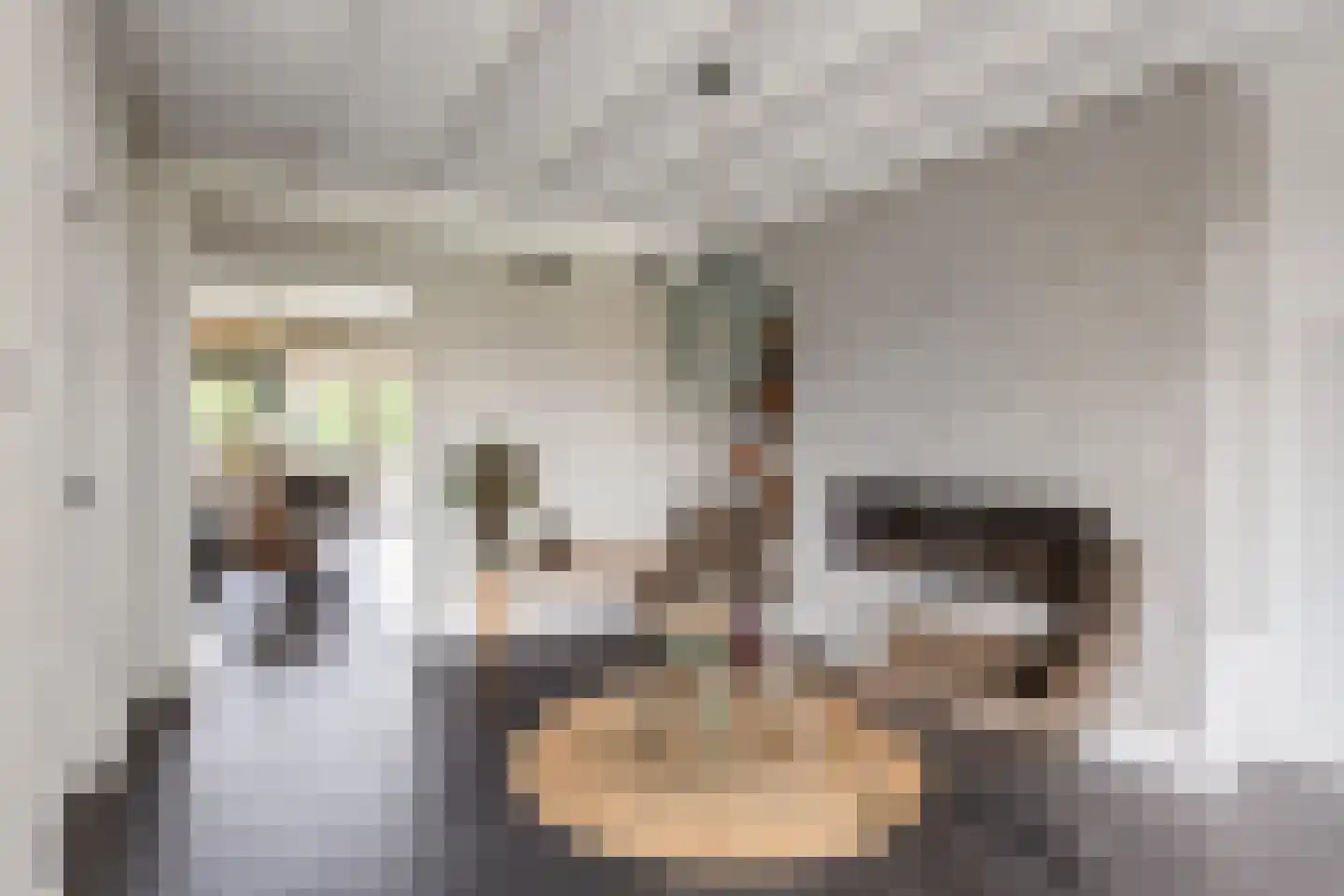 Kloosterhof 16 Vasse thumbnail 8