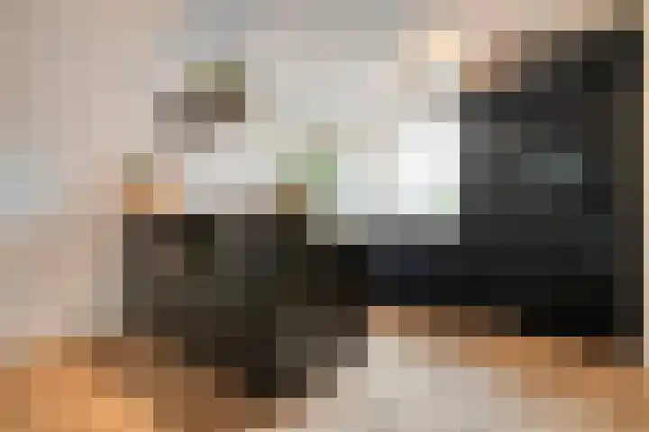 Kloosterhof 18 Dalfsen thumbnail 10