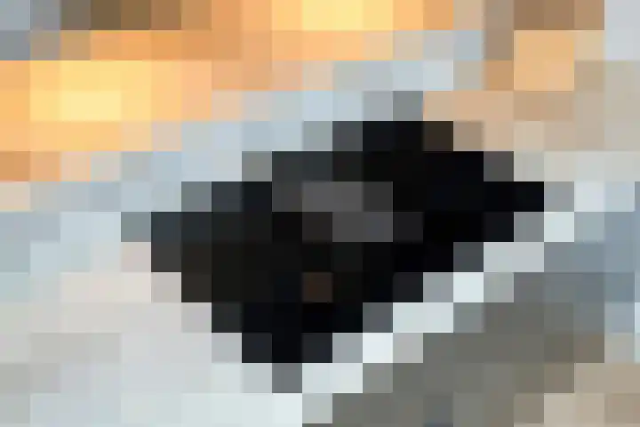 Kloosterhof 18 Dalfsen thumbnail 13
