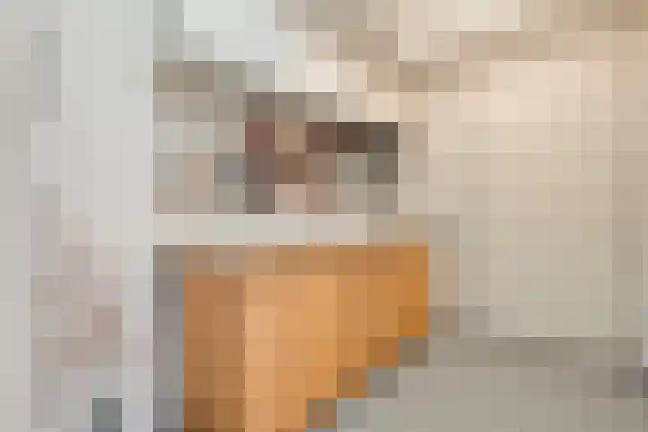 Kloosterhof 18 Dalfsen thumbnail 19